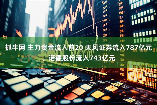 抓牛网 主力资金流入前20 天风证券流入787亿元、诺德股份流入743亿元