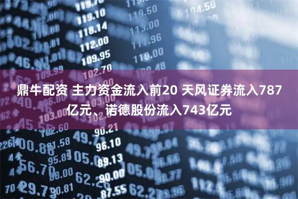 鼎牛配资 主力资金流入前20 天风证券流入787亿元、诺德股份流入743亿元