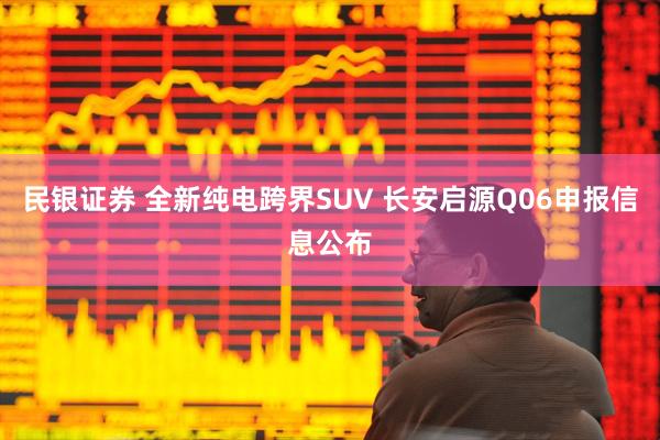 民银证券 全新纯电跨界SUV 长安启源Q06申报信息公布